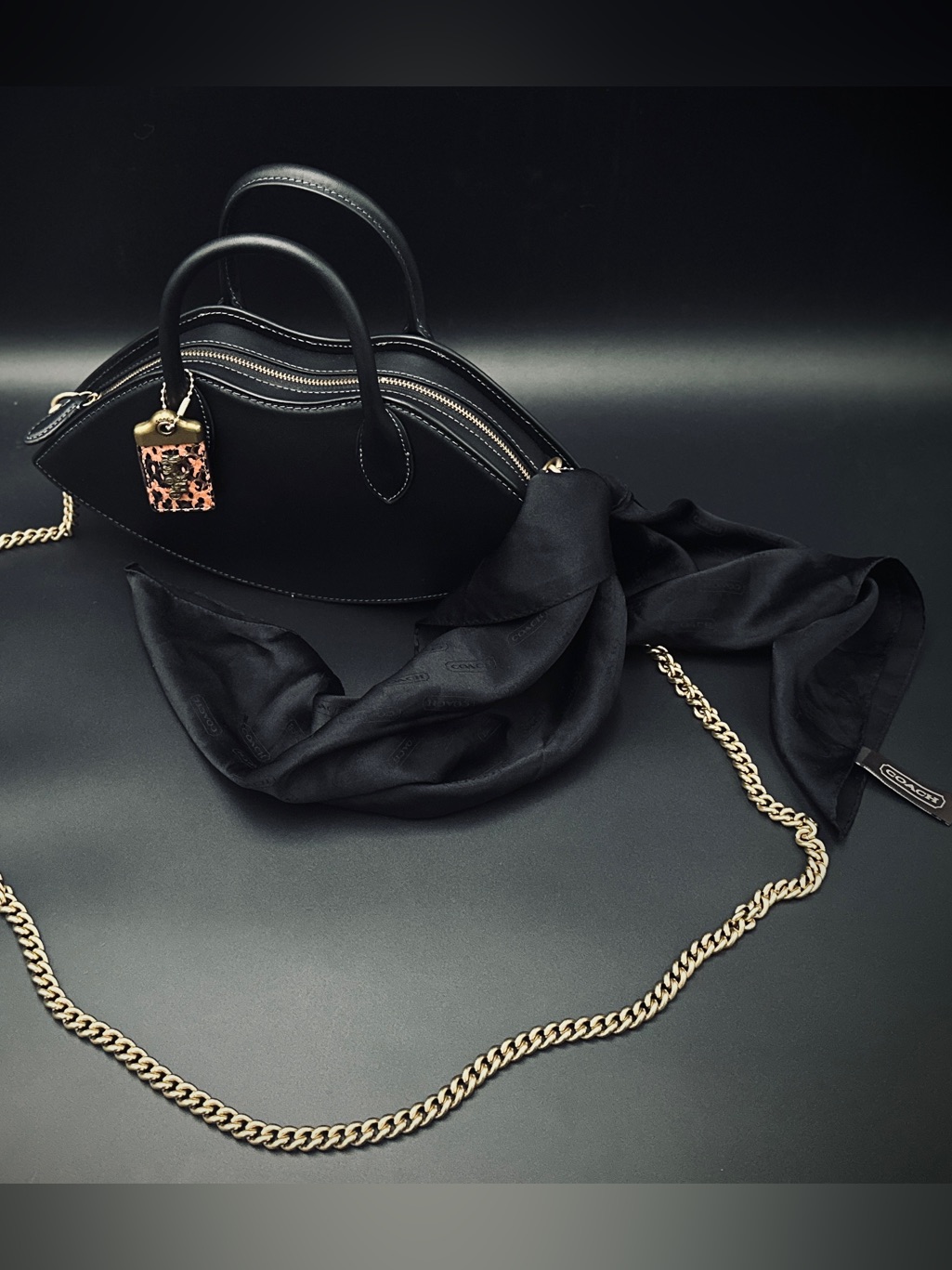 Nwt Coach Lip Crossbody Bag